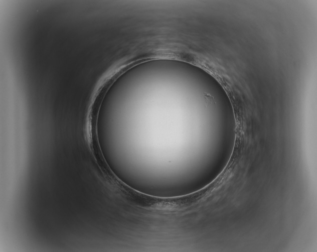 X0000102260294200807251335