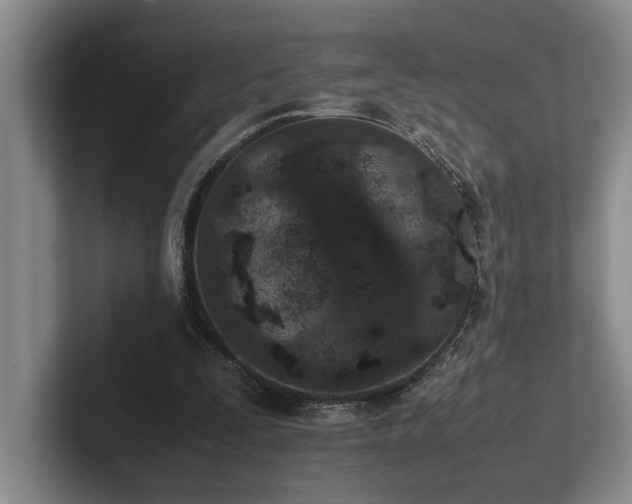 X0000102260295200807251335