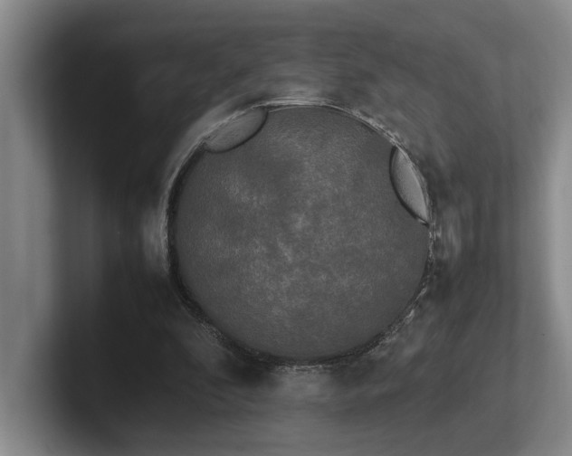 X0000102260296200807251335