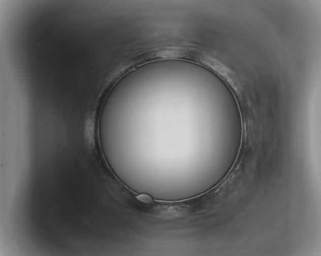 X0000102260297200807251335