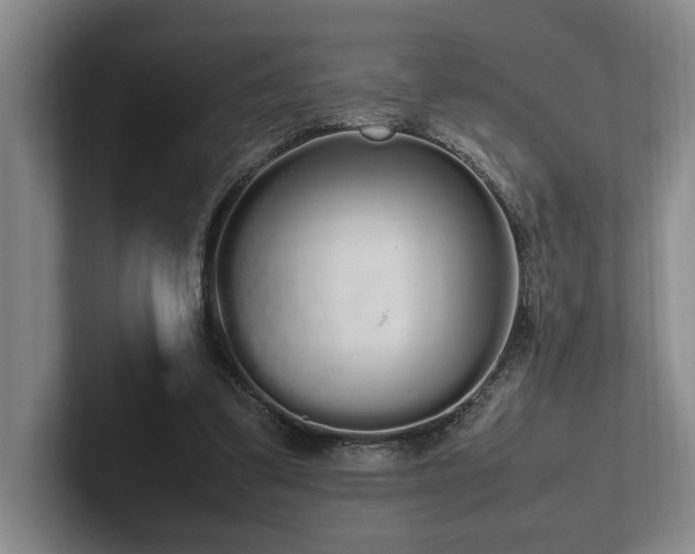 X0000102260299200807251335