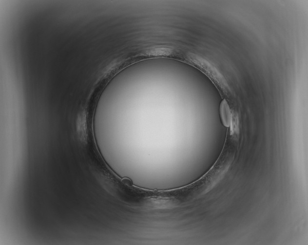 X0000102260300200807251335