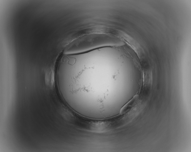 X0000102260301200807251335