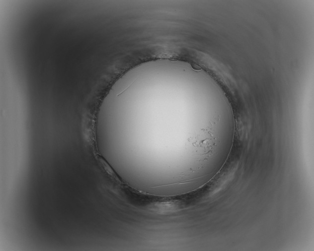 X0000102260307200807251335