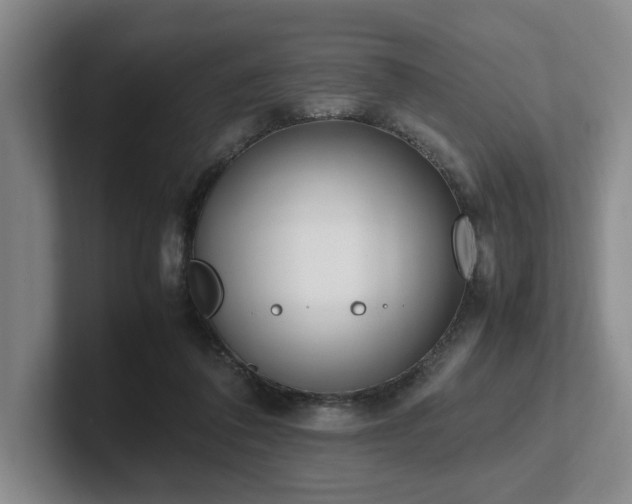 X0000102260308200807251335