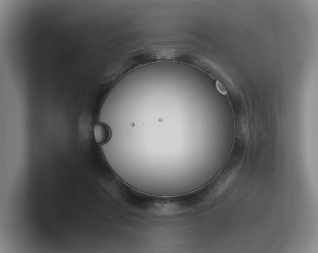 X0000102260311200807251335