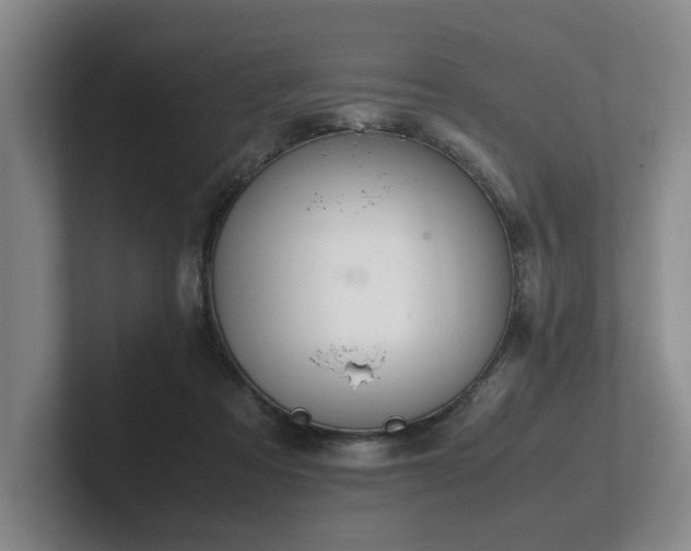 X0000102260313200807251334