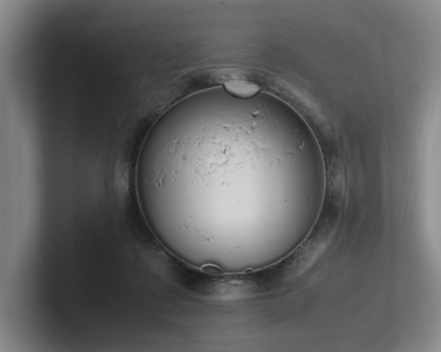 X0000102260315200807251334