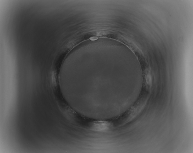 X0000102260316200807251334