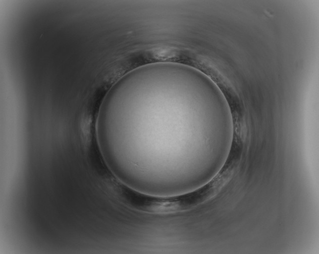 X0000102260319200807251334