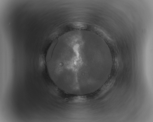 X0000102260320200807251334