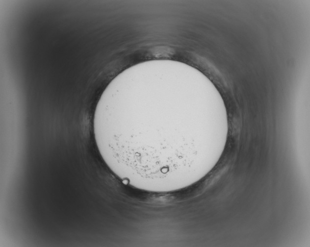 X0000102260321200807251334