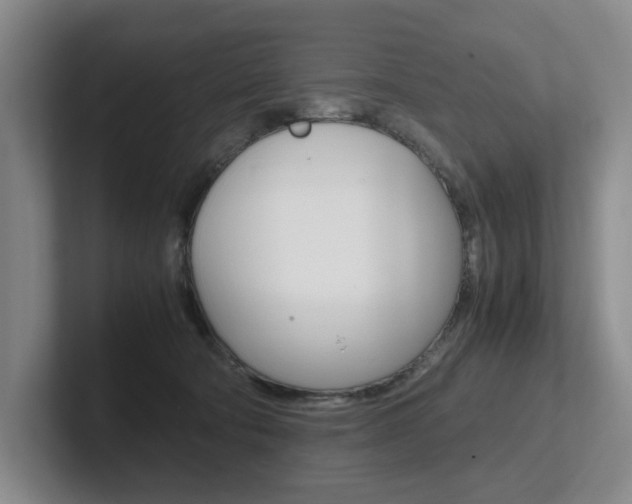 X0000102260322200807251334