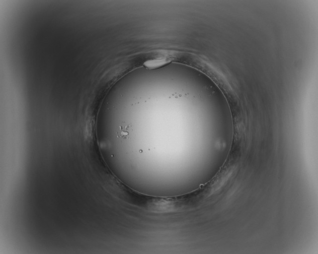 X0000102260325200807251334