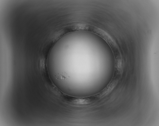 X0000102260326200807251334