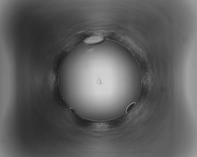 X0000102260327200807251334