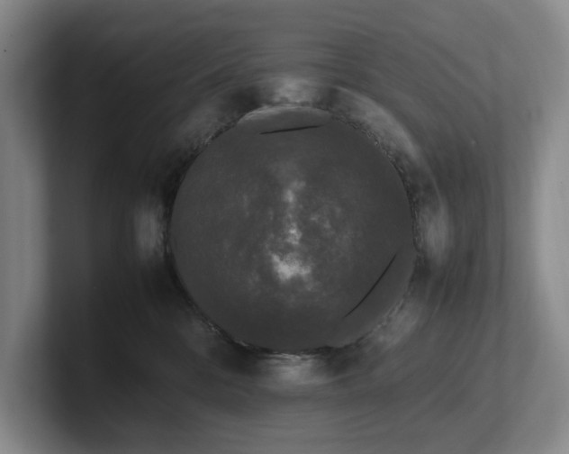 X0000102260328200807251334