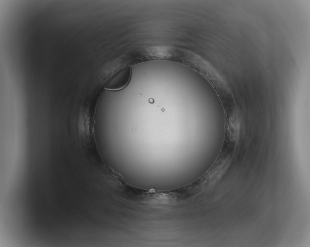 X0000102260330200807251334