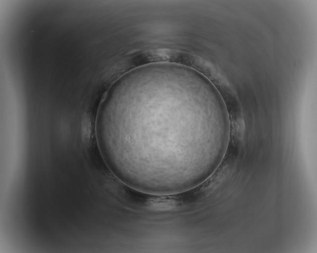 X0000102260331200807251334