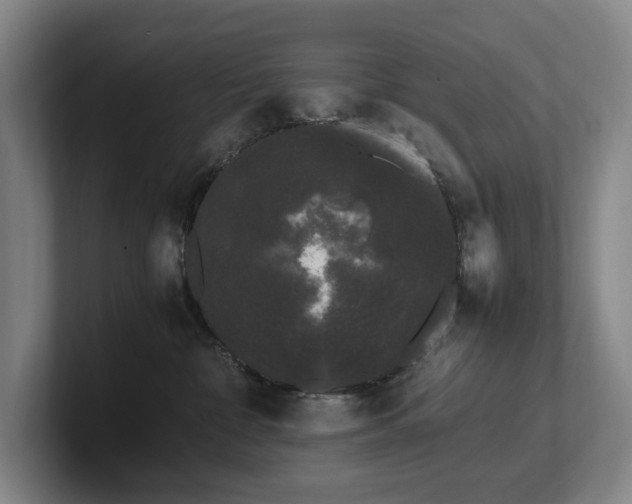 X0000102260332200807251334