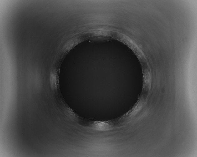 X0000102260333200807251334