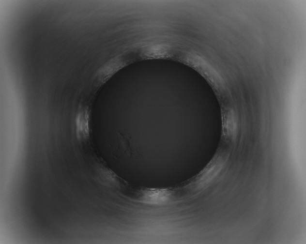 X0000102260334200807251334