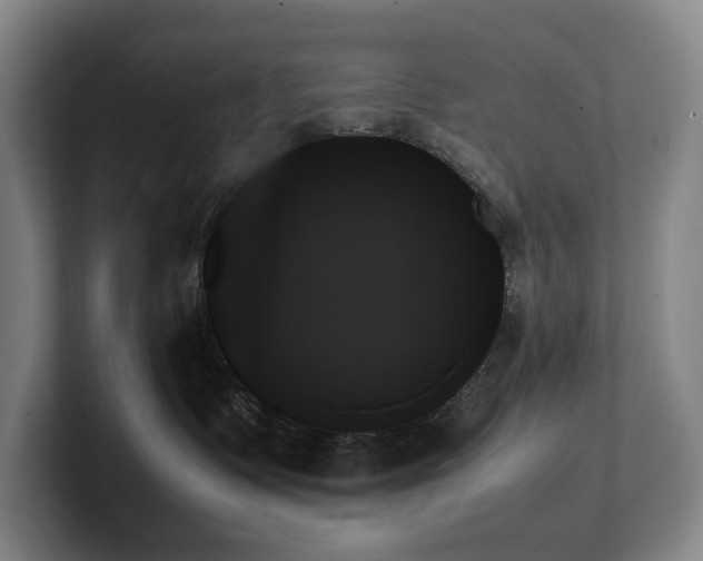 X0000102260335200807251334