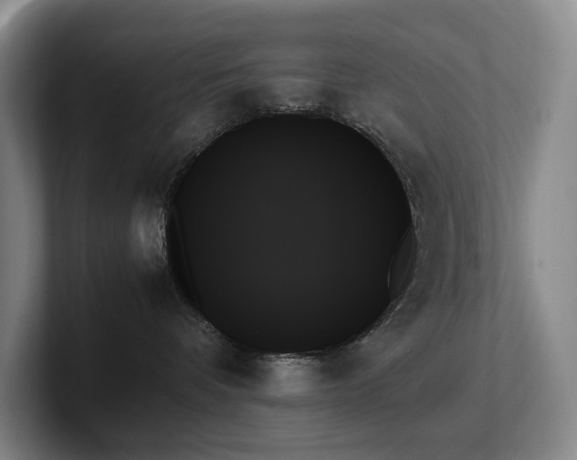 X0000102260336200807251334