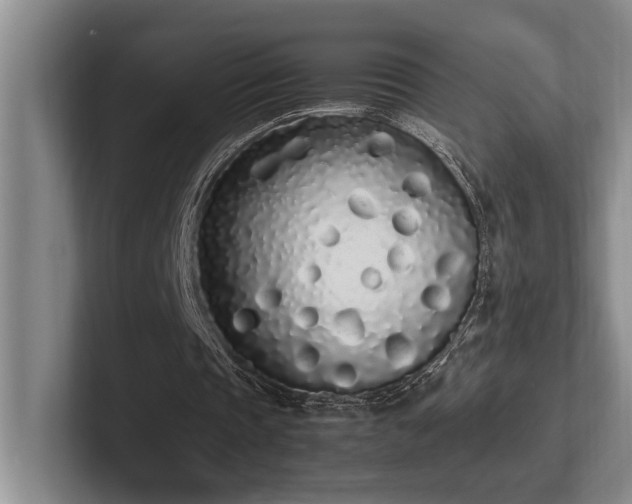 X0000102260337200807251334