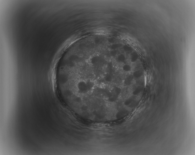 X0000102260339200807251334