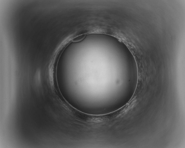 X0000102260341200807251334