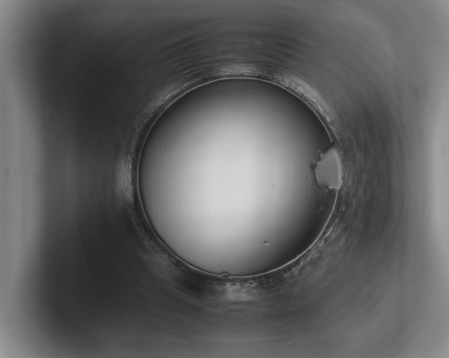 X0000102260345200807251334