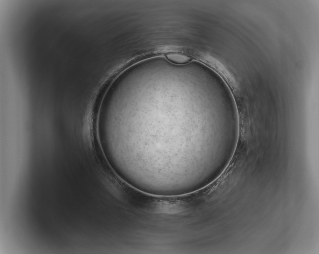 X0000102260346200807251334