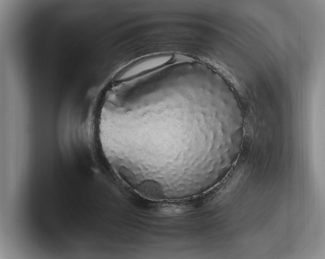 X0000102260347200807251334