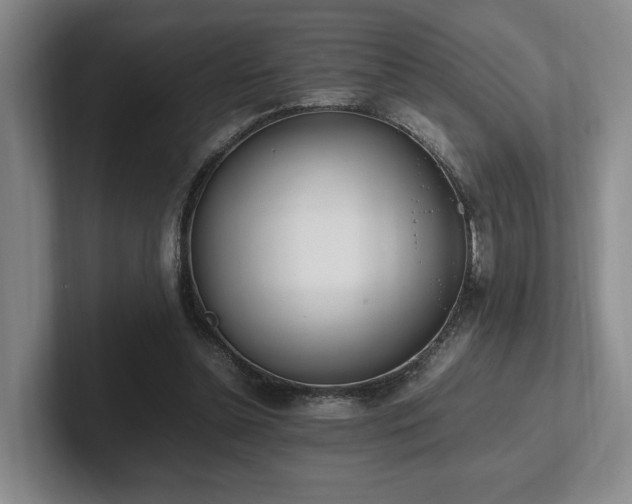 X0000102260348200807251334