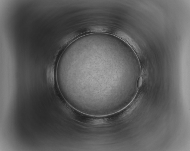 X0000102260349200807251334