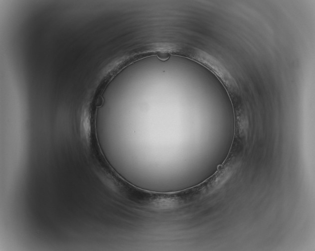 X0000102260350200807251334