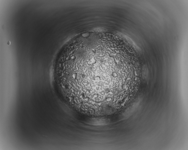 X0000102260351200807251334