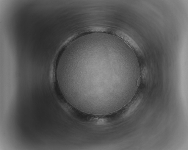 X0000102260352200807251334