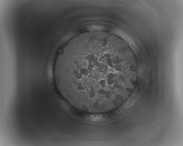 X0000102260353200807251334