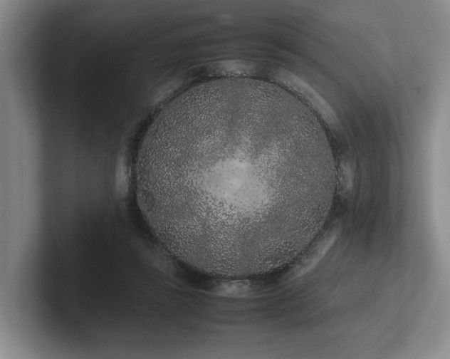 X0000102260355200807251334