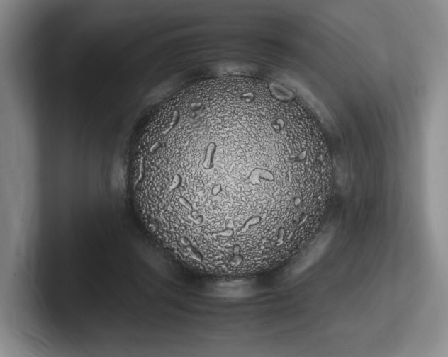 X0000102260357200807251334