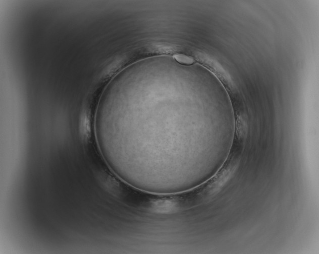 X0000102260358200807251334