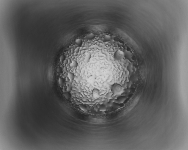 X0000102260359200807251334