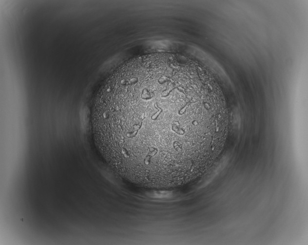 X0000102260361200807251334