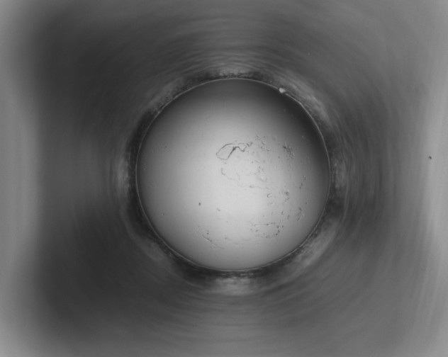 X0000102260362200807251334