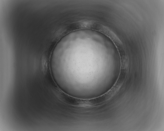 X0000102260363200807251334