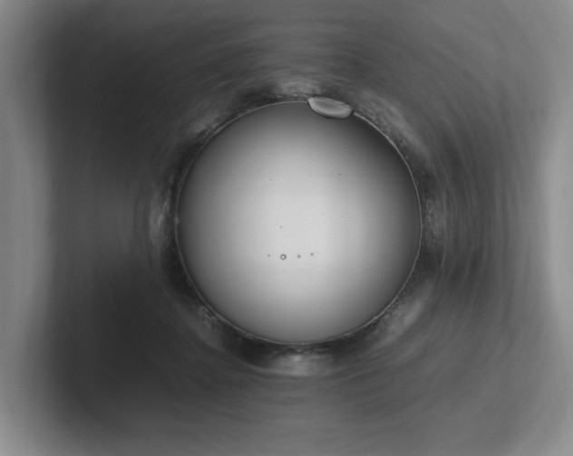 X0000102260364200807251334