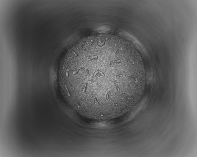 X0000102260365200807251334