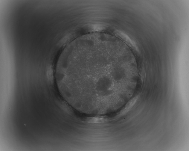 X0000102260366200807251334